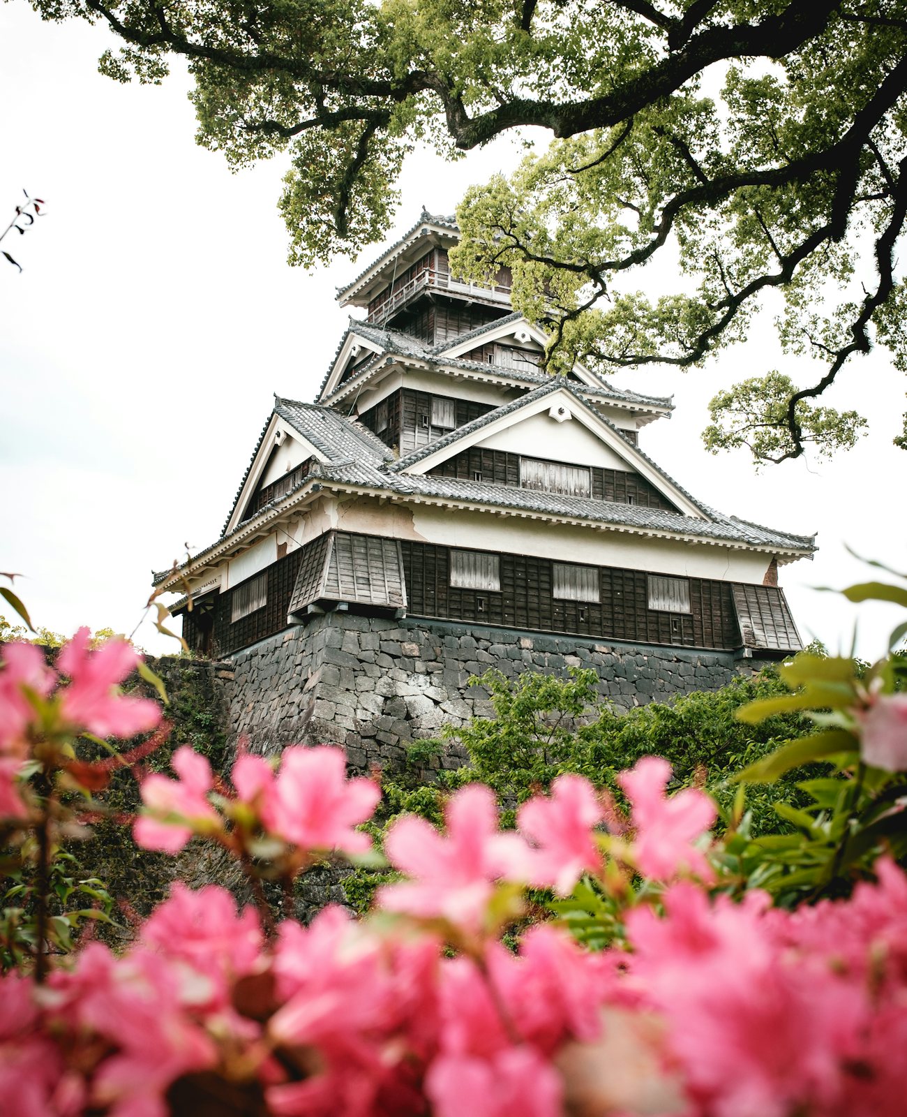 Kumamoto